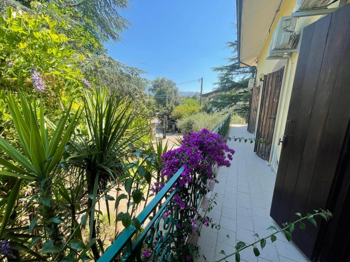 Agriturismo Al Gallo Verde Altavilla Silentina Dış mekan fotoğraf