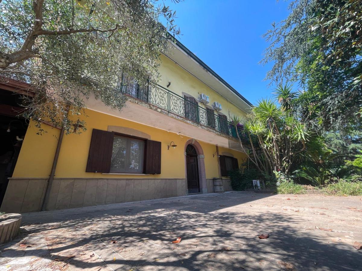 Agriturismo Al Gallo Verde Altavilla Silentina Dış mekan fotoğraf