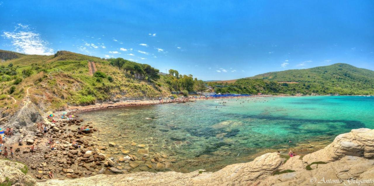Agriturismo Al Gallo Verde Altavilla Silentina Dış mekan fotoğraf